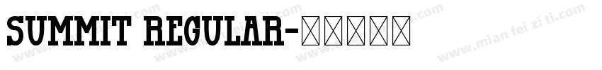 summit Regular字体转换